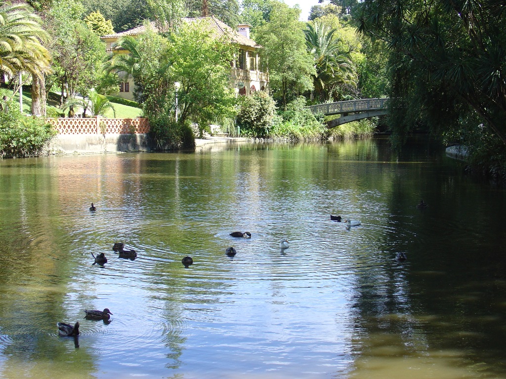 Parque Infante D. Pedro - Parque de la Ciudad
